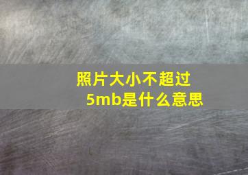 照片大小不超过5mb是什么意思