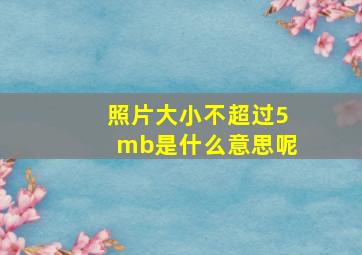 照片大小不超过5mb是什么意思呢