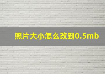 照片大小怎么改到0.5mb