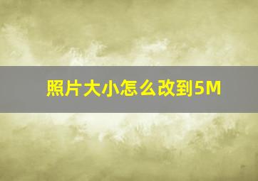 照片大小怎么改到5M