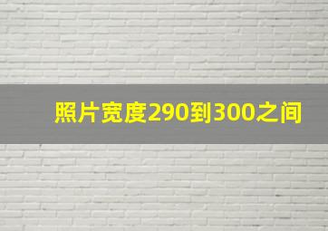 照片宽度290到300之间