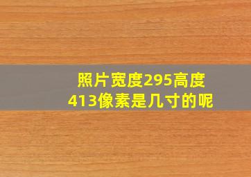 照片宽度295高度413像素是几寸的呢