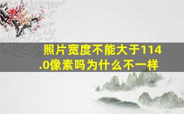 照片宽度不能大于114.0像素吗为什么不一样