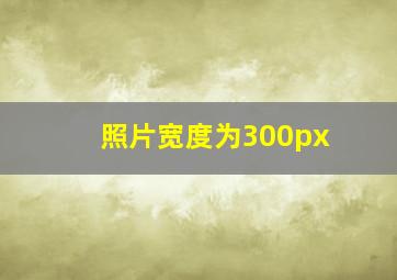 照片宽度为300px