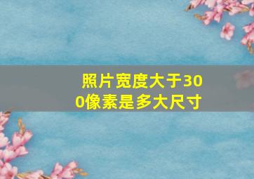 照片宽度大于300像素是多大尺寸