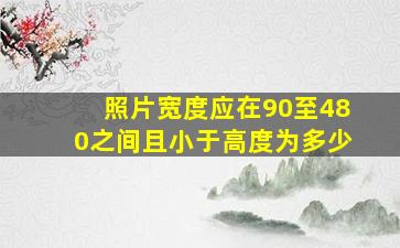 照片宽度应在90至480之间且小于高度为多少