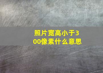 照片宽高小于300像素什么意思