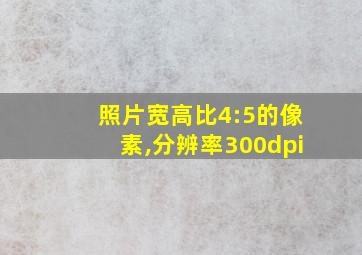 照片宽高比4:5的像素,分辨率300dpi