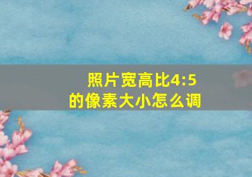 照片宽高比4:5的像素大小怎么调