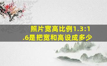 照片宽高比例1.3:1.6是把宽和高设成多少