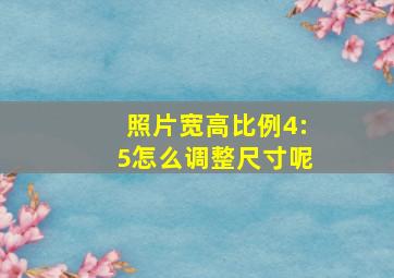 照片宽高比例4:5怎么调整尺寸呢