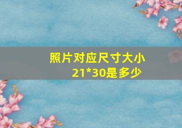 照片对应尺寸大小21*30是多少