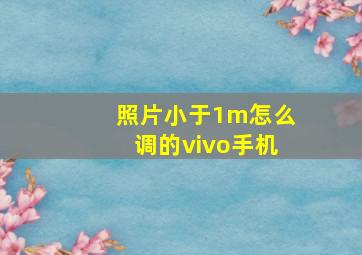 照片小于1m怎么调的vivo手机