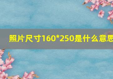 照片尺寸160*250是什么意思