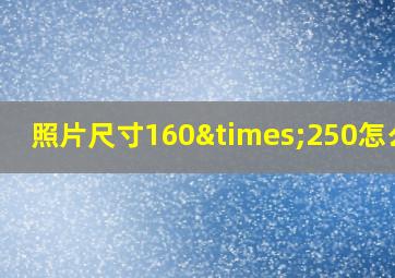 照片尺寸160×250怎么调