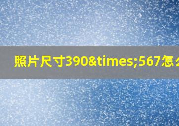 照片尺寸390×567怎么改