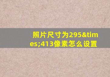 照片尺寸为295×413像素怎么设置