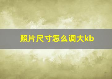 照片尺寸怎么调大kb