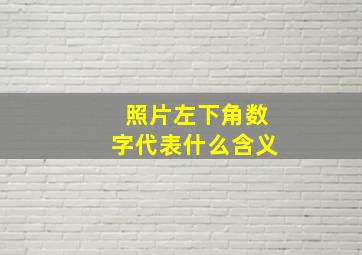 照片左下角数字代表什么含义