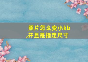 照片怎么变小kb,并且是指定尺寸