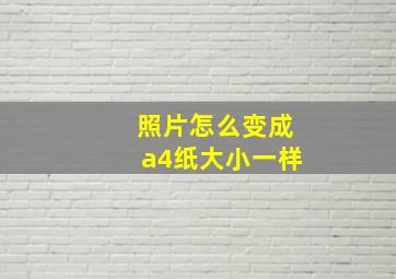 照片怎么变成a4纸大小一样