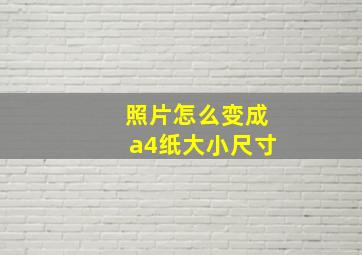 照片怎么变成a4纸大小尺寸