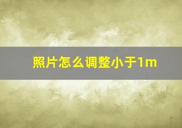 照片怎么调整小于1m