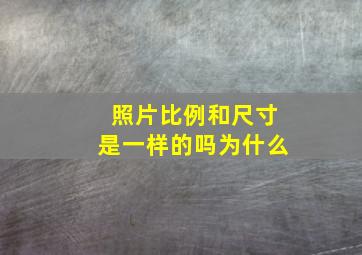 照片比例和尺寸是一样的吗为什么