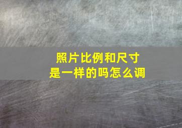 照片比例和尺寸是一样的吗怎么调