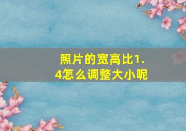 照片的宽高比1.4怎么调整大小呢