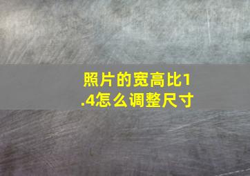 照片的宽高比1.4怎么调整尺寸