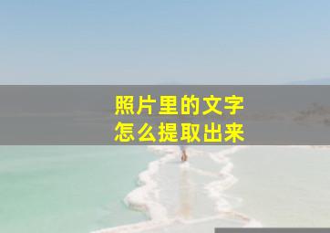 照片里的文字怎么提取出来