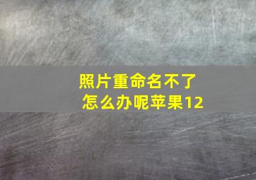 照片重命名不了怎么办呢苹果12