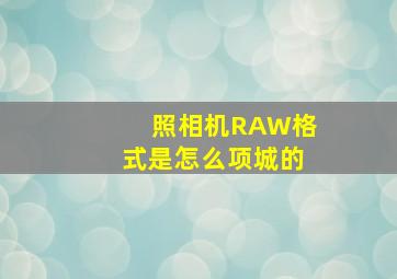 照相机RAW格式是怎么项城的