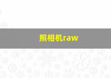 照相机raw