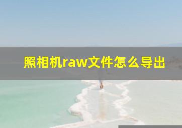 照相机raw文件怎么导出