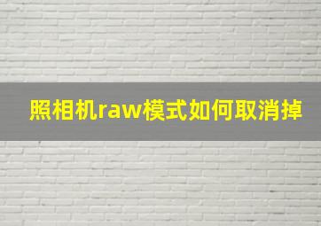 照相机raw模式如何取消掉