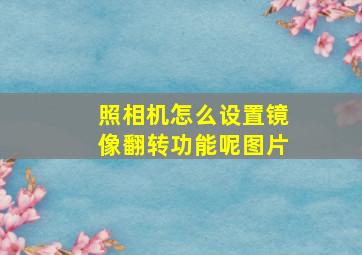 照相机怎么设置镜像翻转功能呢图片