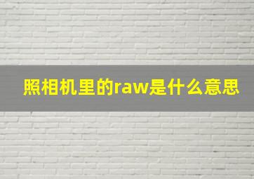 照相机里的raw是什么意思