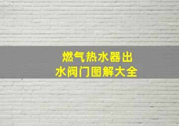 燃气热水器出水阀门图解大全