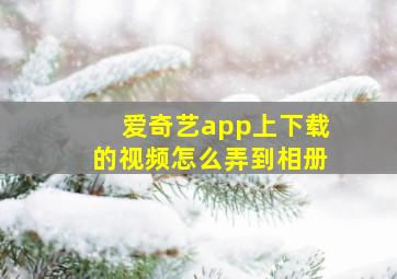 爱奇艺app上下载的视频怎么弄到相册