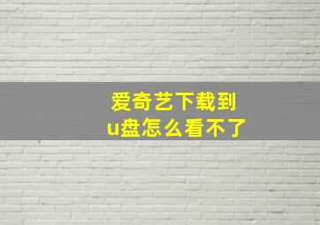 爱奇艺下载到u盘怎么看不了