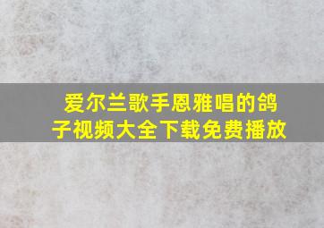 爱尔兰歌手恩雅唱的鸽子视频大全下载免费播放