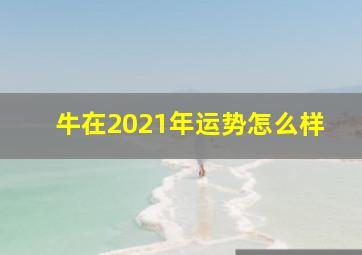 牛在2021年运势怎么样