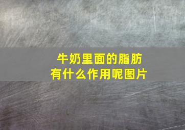 牛奶里面的脂肪有什么作用呢图片