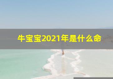 牛宝宝2021年是什么命