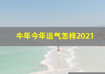 牛年今年运气怎样2021