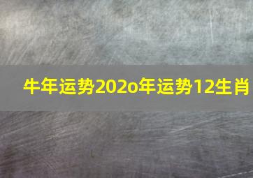 牛年运势202o年运势12生肖