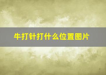 牛打针打什么位置图片