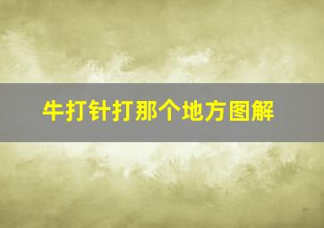 牛打针打那个地方图解